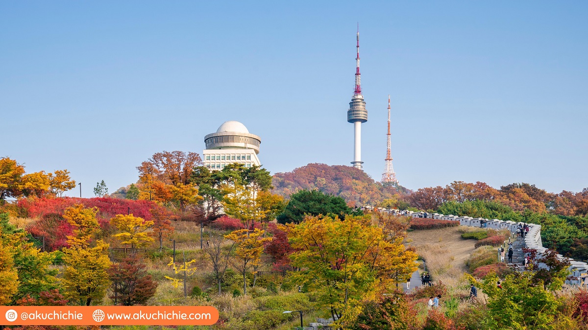 Destinasi Wisata Musim Gugur Di Korea Selatan Dijamin Cantik