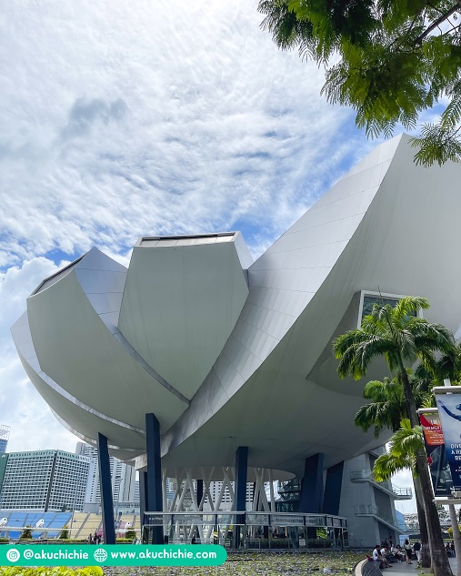 artscience museum singapore