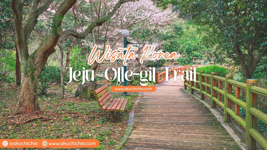 Jeju Olle-gil Trail - akuchichie