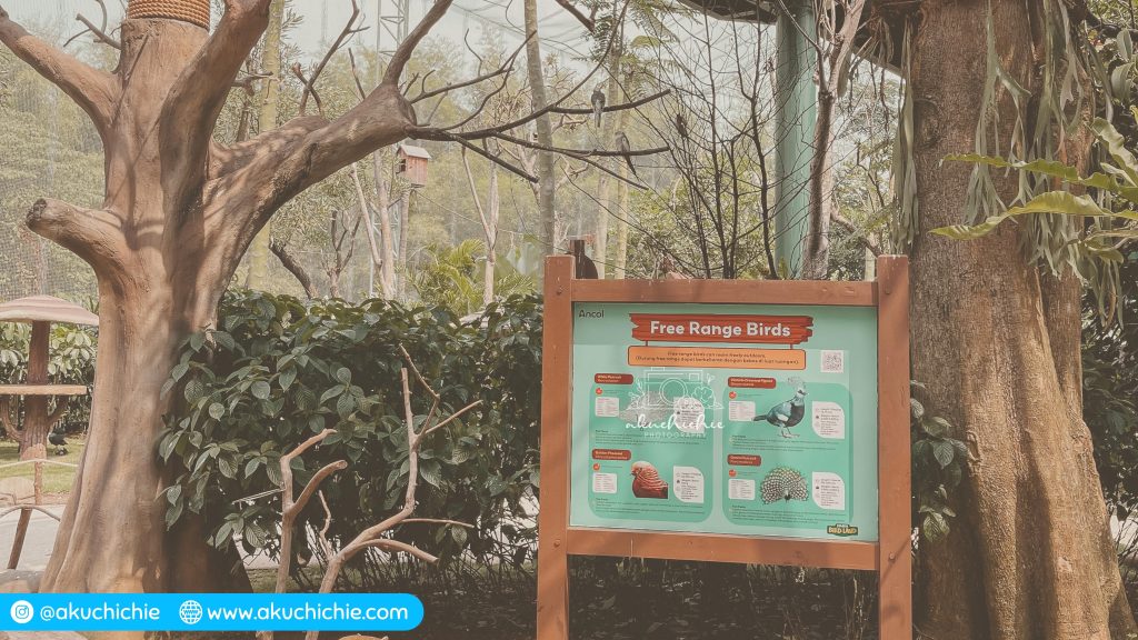 Jakarta Bird Land Ancol