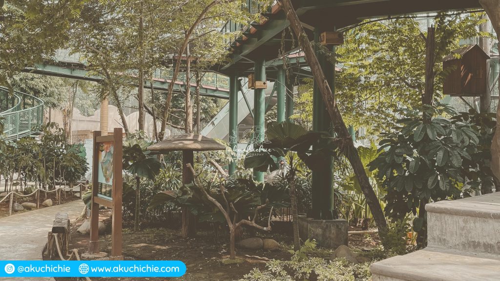 Jembatan gantung Jakarta Bird Land