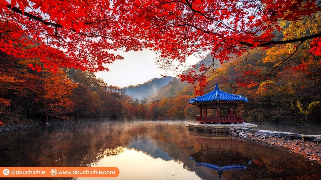 naejangsan national park 