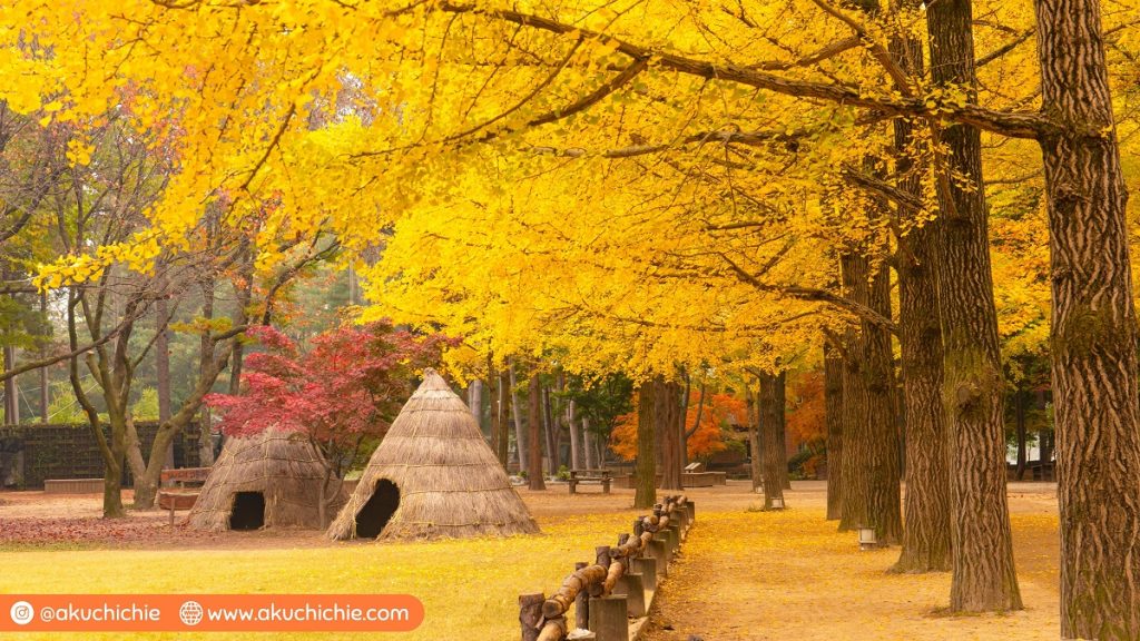 Nami Island saat musim gugur