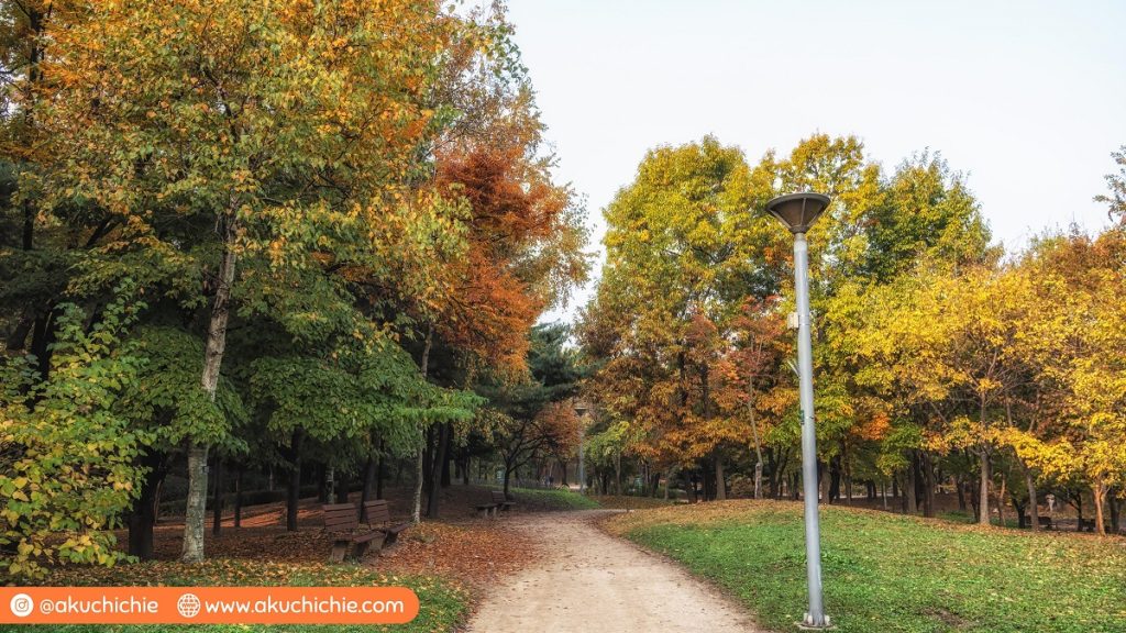 seoul forest