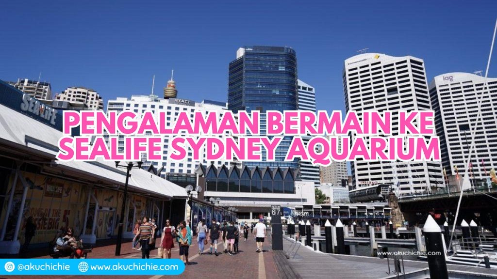 Pengalaman Bermain ke Sea Life Sydney Aquarium