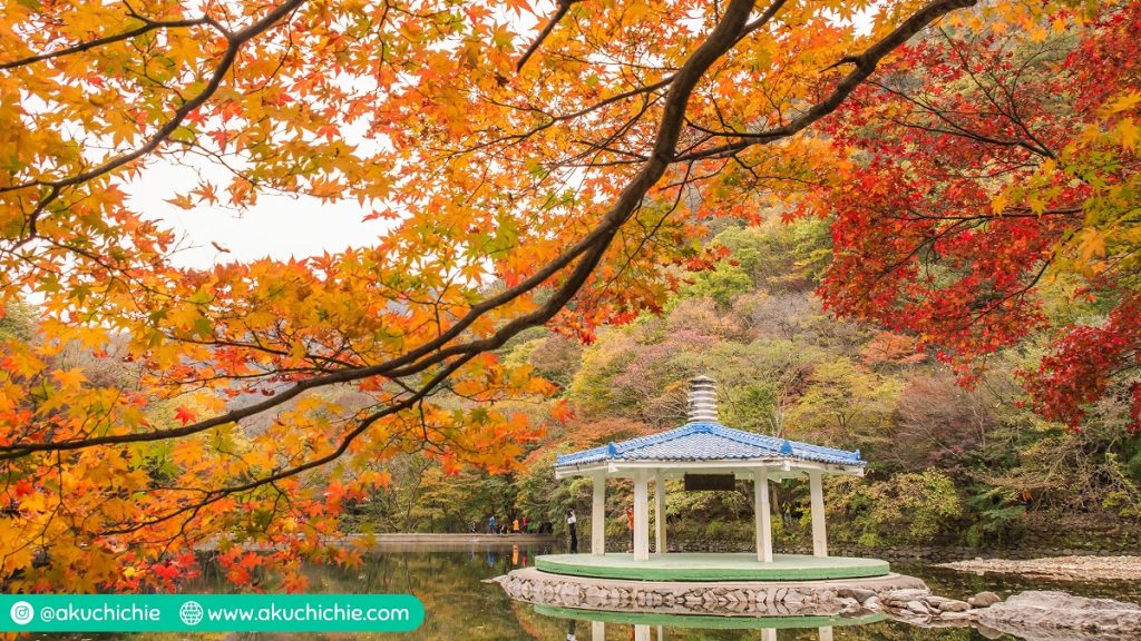 naejangsan national park