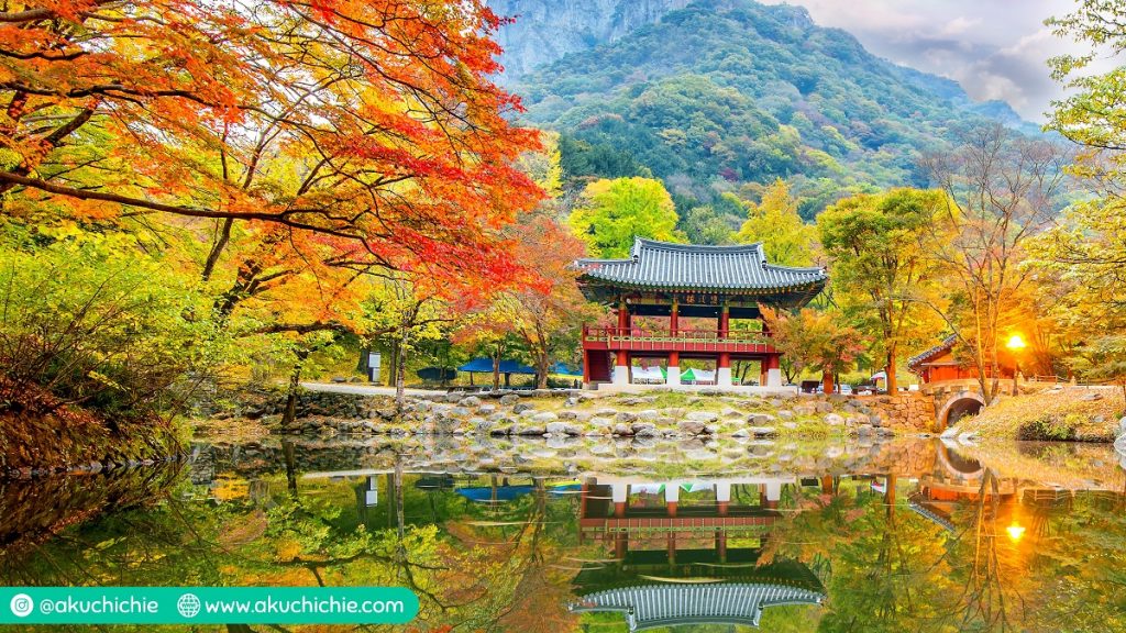 naejangsan national park