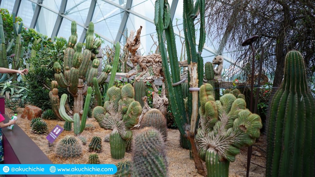 flower dome singapura